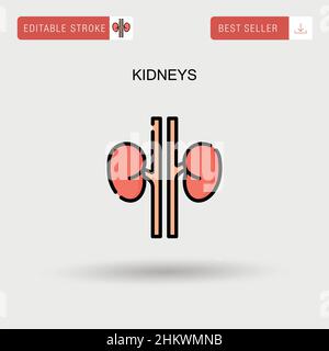 Kidneys Simple vector icon. Stock Vector