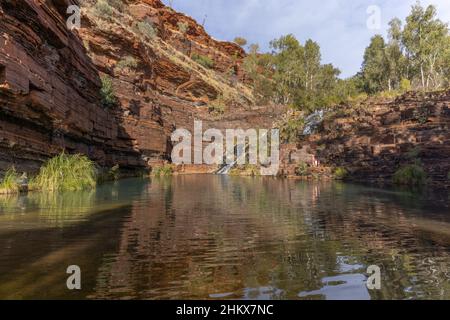 a visitor swims in the natural pool at fortescue falls in karijini national park in western australia Stock Photo