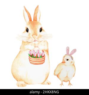 Rabbit with flowers and a chick in a rabbit costume. Easter funny picture. Watercolor illustration. Isolated on a white background. Stock Photo