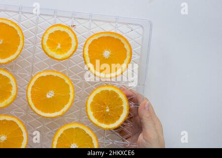 Cutted orange on dehydrator grid in woman hand on the white background Stock Photo