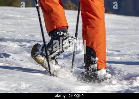 isolated snow shoe trekker walking on the snow Stock Photo