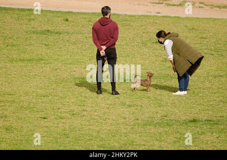 Couple walking their dog in the park. La Ballena. Las Palmas de Gran Canaria. Gran Canaria. Canary Islands. Spain. Stock Photo