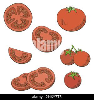Tomato graphic color isolated sketch illustration vector Stock Vector