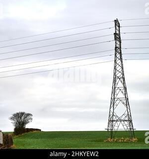 Electricity pylon and small tree in field against grey sky Stock Photo