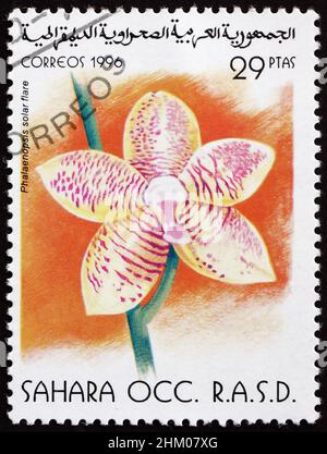 SAHARA - CIRCA 1996: a stamp printed in Sahrawi Arab Democratic Republic shows phalaenopsis solar flare, hybrid orchid, circa 1996 Stock Photo