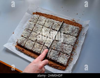 chocolate cake with cocos made on oven plate Stock Photo