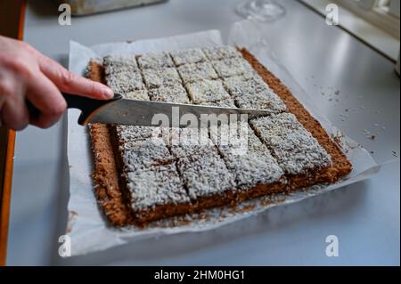 chocolate cake with cocos made on oven plate Stock Photo