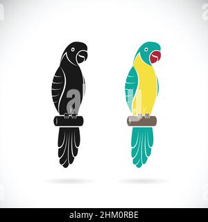 Vector of two parrot design on white background. Easy editable layered vector illustration. Animals. Pet. Stock Vector