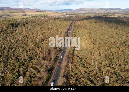 Aerial view from drone of damage to woodland at Edzell from Storm Corrie on 31st January 2022, Angus, Scotland, UK Stock Photo