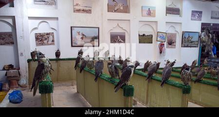 Falcon market in Souq Waqif Doha QATAR Stock Photo