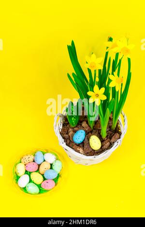 Yellow daffodils with hyacinths in a pot with Easter eggs on a plate on a yellow background. Easter concept. Selective focus. Stock Photo