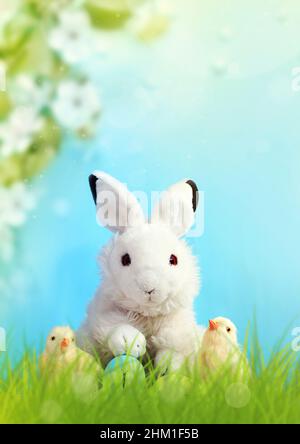 Easter bunny rabbit with painted eggs and chicks in grass on blue background. Easter holiday concept. Easter card. Stock Photo