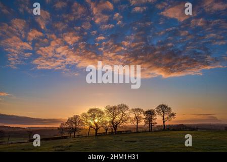 Sunrise and clouds behiond group pf trees in central Scotland. Stock Photo