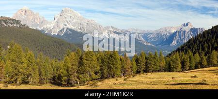 View of meadow, Larch wood, Le Tofane Gruppe and Hohe Gaisl, Dolomiti, Italy Stock Photo