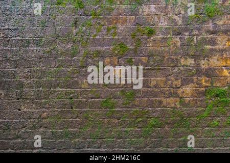 Brick wall with moss growing out of it Stock Photo