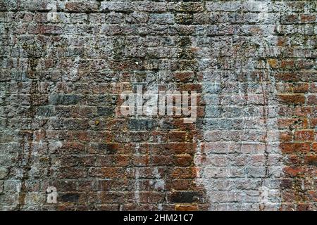 weathered brick wall with moss growing out Stock Photo