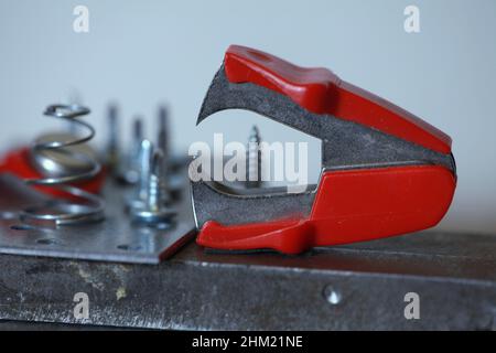 staple remover still life Stock Photo