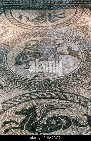 Fishbourne Palace near Chichester in West Sussex, the largest Roman residence north of Alpes, known for high quality, well preserved mosaics and a rectangular formal garden, now museum. Mosaic from the room N7 - Cupid/Dolphin. Archival scan from a slide. July 1975. Stock Photo
