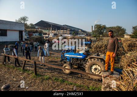 Baghpat, India. 06th Feb, 2022. Sugarcane farmers wait to sell harvested sugarcane outside at Baghpat cooperative sugar mills ltd, Baghpat. Credit: SOPA Images Limited/Alamy Live News Stock Photo