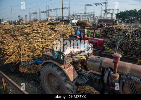 Baghpat, India. 06th Feb, 2022. Sugarcane farmers are seen in a queue waiting to sell harvested sugarcane outside at Baghpat cooperative sugar mills ltd, Baghpat. Credit: SOPA Images Limited/Alamy Live News Stock Photo