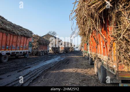 Baghpat, India. 06th Feb, 2022. Trucks seen loaded with harvested Sugarcane waiting in queue outside at baghpat cooperative sugar mills ltd, Baghpat. Credit: SOPA Images Limited/Alamy Live News Stock Photo