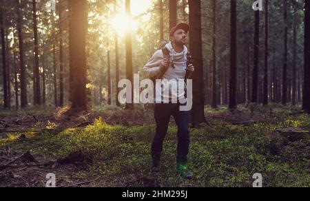 hiker with backpack is walking in the forest on a sunny day - traveler exploring landscape concept image Stock Photo