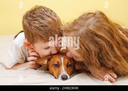 Little boy and girl kissing a puppy jack russell dog. Stock Photo