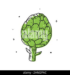 Green artichoke isolated on white background. Organic healthy food. Vector hand-drawn illustration in doodle style. Perfect for cards, logo, decorations, recipes, various designs. Stock Vector