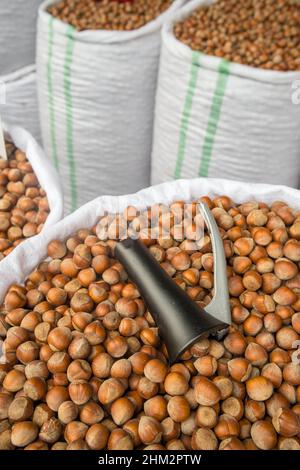Fresh hazelnuts in shells for sale in outdoor food market. Stock Photo