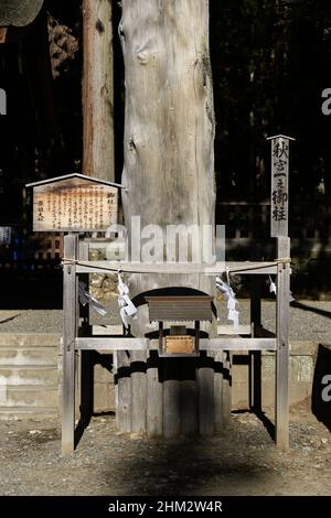 suwa, nagano, japan, 2022/06/02 ,  Suwa Grand Shrine (Suwa-taisha), historically also known as Suwa Shrine (Suwa-jinja) or Suwa Daimyōjin, is a group Stock Photo