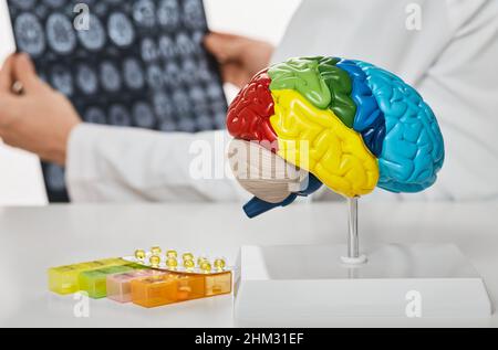 Anatomical model of human brain on doctor's table over background neurologist analyzing results of MRI scan of patient brain at medical hospital Stock Photo
