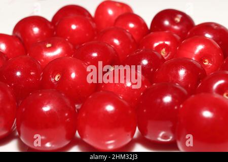 Morello Cherries on a white plate Stock Photo