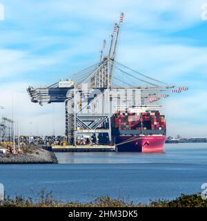 Big container ship & full load of shipping containers below giant tall cranes docked at London Gateway Thames estuary port for unloading Essex UK Stock Photo