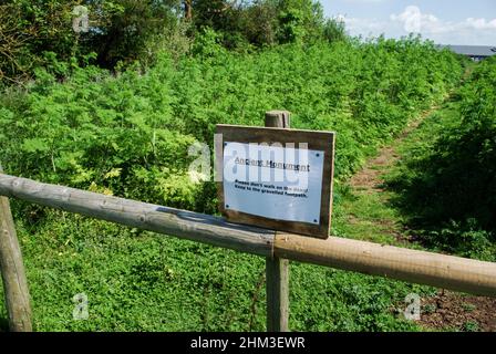 Ancient Monument sign with the warning 'please don't walk on the dead', Stanwick Lakes, Northamptonshire, UK Stock Photo