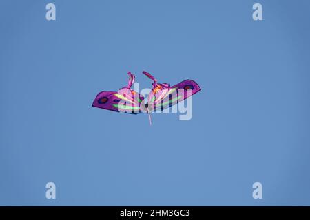 Colorful kite flying in the blue clear sky Stock Photo