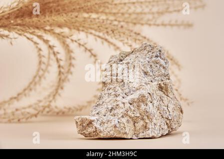 Natural stone podium and dry plant branch on beige background, minimal copy space background for presentation cosmetic product Stock Photo