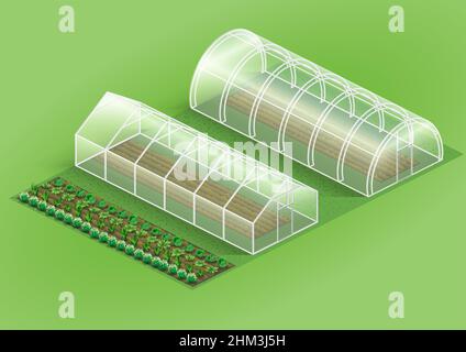 Set of greenhouses for plants Stock Vector