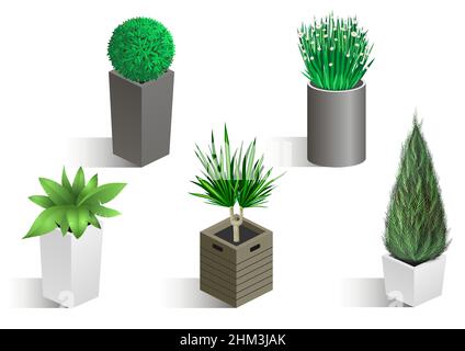 Isometric set of different plants Stock Vector