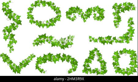 Isolated green ivy. Wall vines plants, creepers branches with leaves. Garden natural decorations. Floral frames, corners for decor, cards and Stock Vector