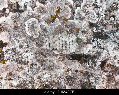 Texture of old stone close up. Natural background with stone pattern, moss and bumps from wind and water.  Stock Photo