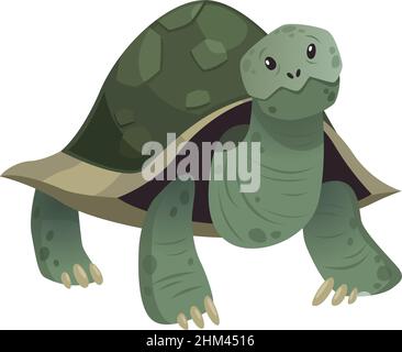 turtle wild sea animal with shell Stock Vector Image & Art - Alamy
