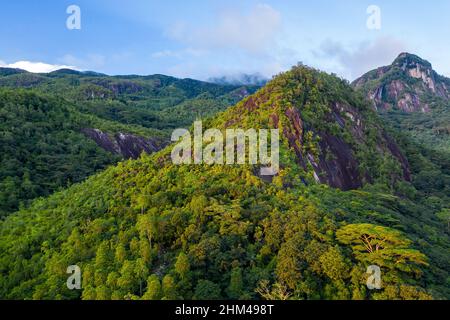 Morne Seychellois National Park aerial view from drone during sunset, golden hour, with lush tropical mountains, Mahe Island, Seychelles. Stock Photo