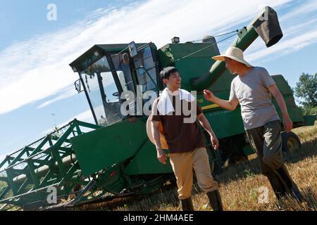 Realize mechanized harvesting in the fields of farmers Stock Photo