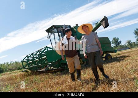 Realize mechanized harvesting in the fields of farmers Stock Photo