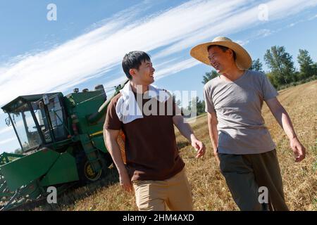 Realize mechanized harvesting in the fields of farmers Stock Photo