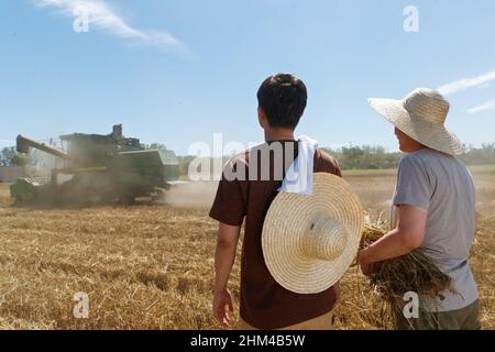 Realize mechanized harvesting in the fields of farmers Stock Photo