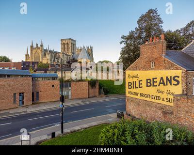 Mighty Bile Beans sign painted on an exterior house wall on Lord Mayors Walk with the bar walls and York Minster in the distance York, UK. Stock Photo