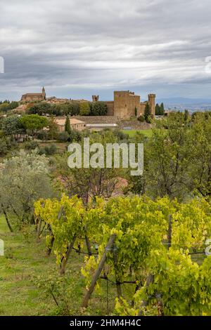 Tuscany's most famous vineyards near town Montalcino in Italy Stock Photo