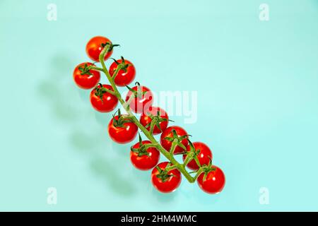 Branch of juicy red cherry tomatoes on a light blue background. Food background. Stock Photo