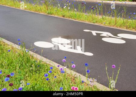 Bicycle lane bordered by wildflowers. Environment friendly cycling infrastructure in city. Ile-de-France. France Stock Photo